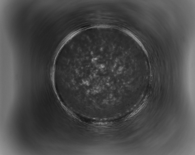 X0000097801245200803201350