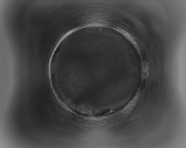 X0000097801246200803201350