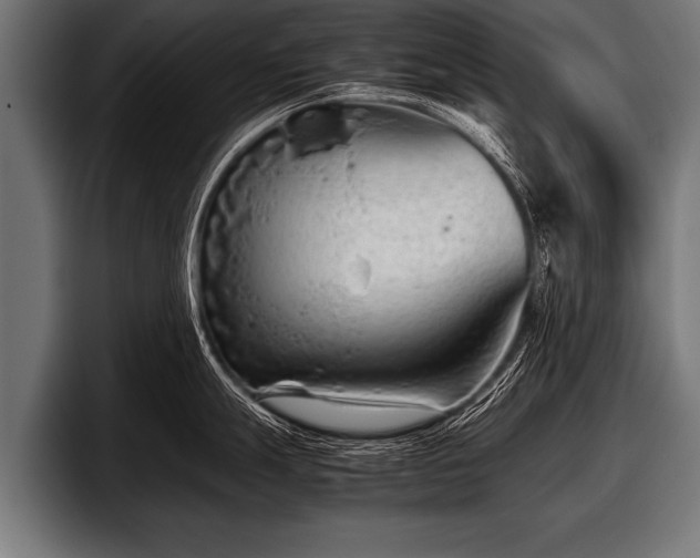 X0000097801247200803201350