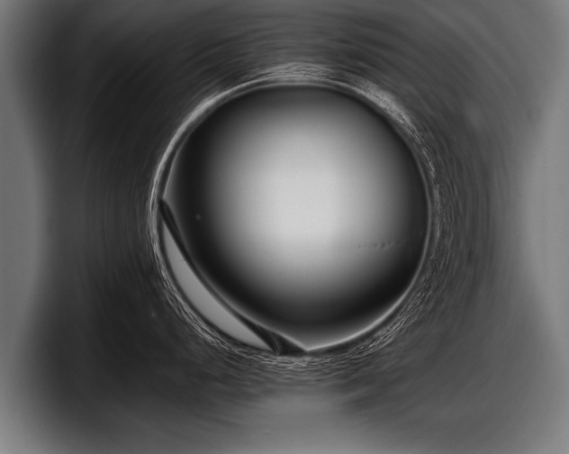 X0000097801248200803201350