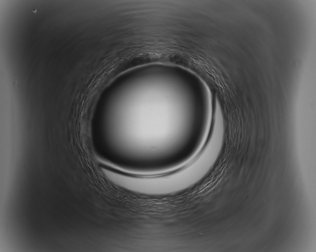 X0000097801249200803201350