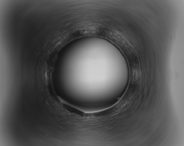 X0000097801250200803201350