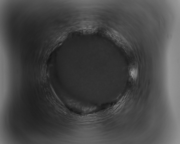 X0000097801252200803201350