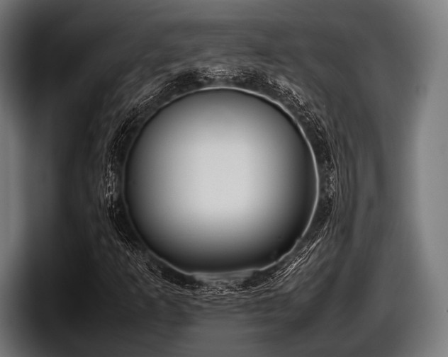 X0000097801253200803201350