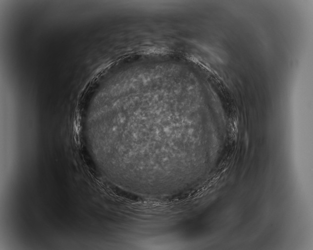 X0000097801254200803201350