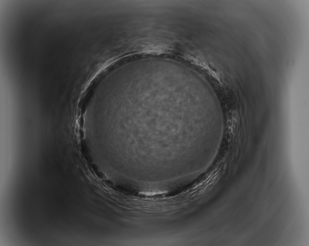 X0000097801256200803201350