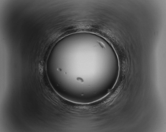 X0000097801257200803201350