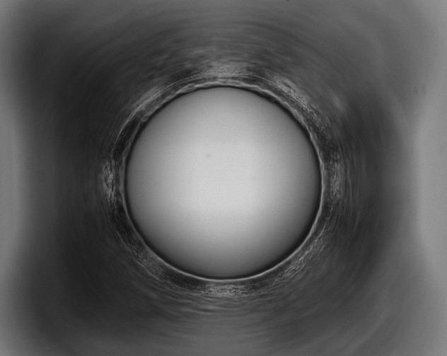 X0000097801258200803201350