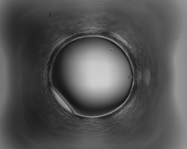 X0000097801259200803201350