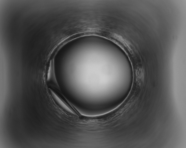 X0000097801260200803201350