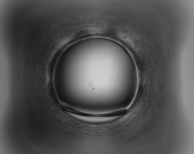 X0000097801261200803201350