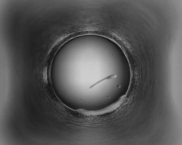 X0000097801262200803201350