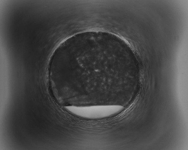 X0000097801263200803201350