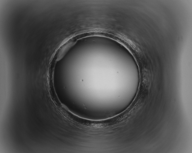 X0000097801264200803201350