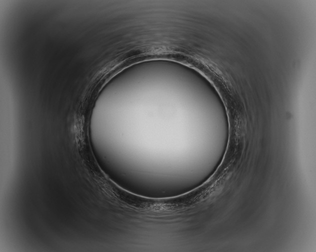 X0000097801265200803201350