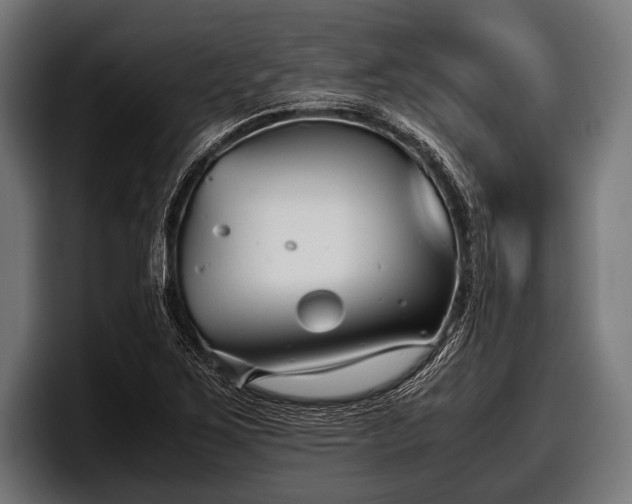 X0000097801267200803201350