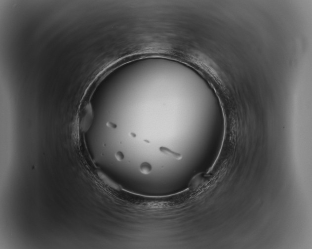 X0000097801268200803201350