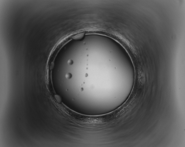 X0000097801270200803201350