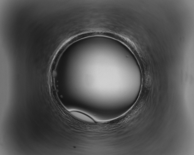 X0000097801271200803201350