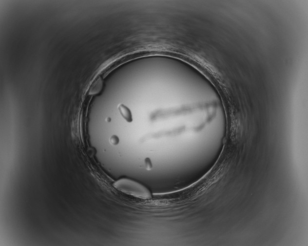 X0000097801272200803201350