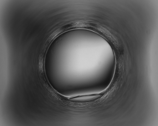 X0000097801273200803201350