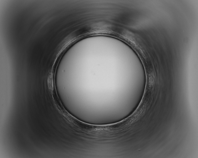 X0000097801274200803201350