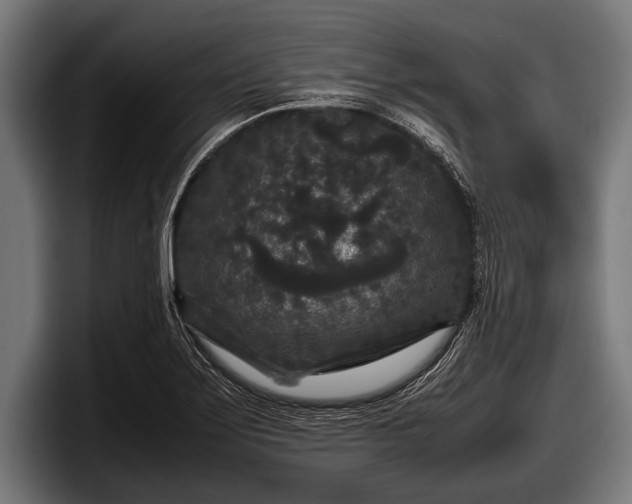 X0000097801275200803201350