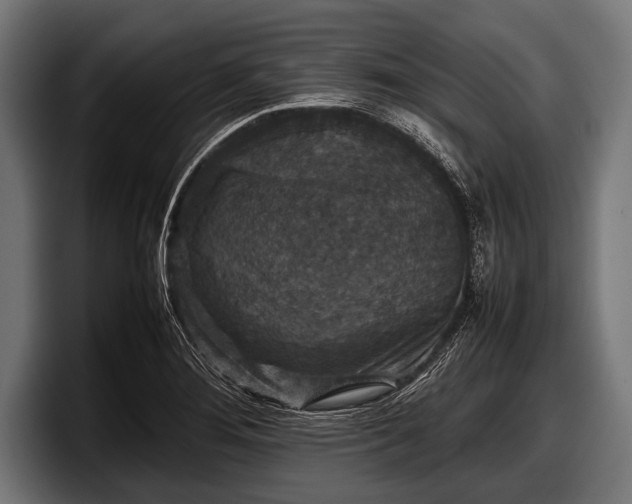 X0000097801276200803201350