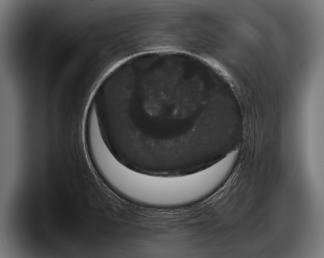 X0000097801279200803201349