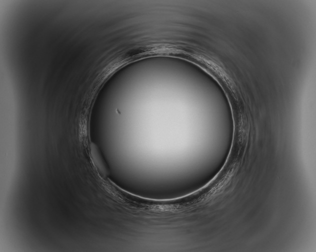 X0000097801281200803201349