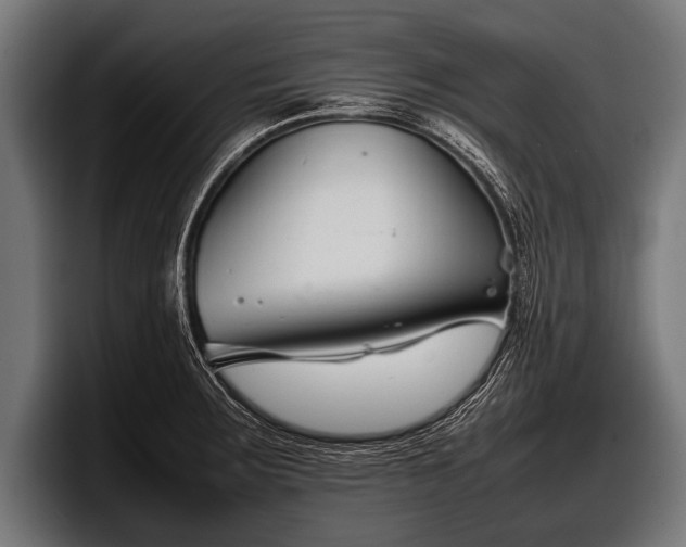 X0000097801283200803201349