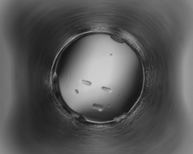 X0000097801284200803201349