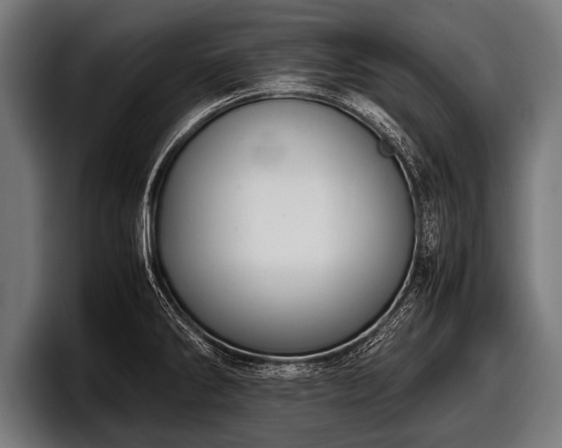 X0000097801286200803201349