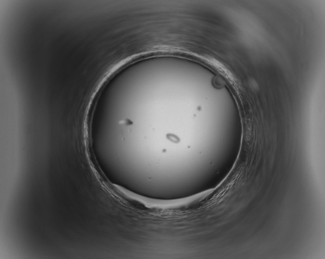 X0000097801287200803201349