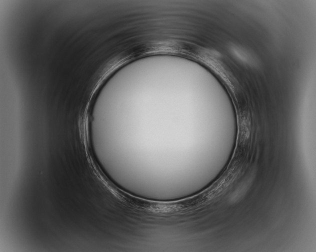 X0000097801290200803201349