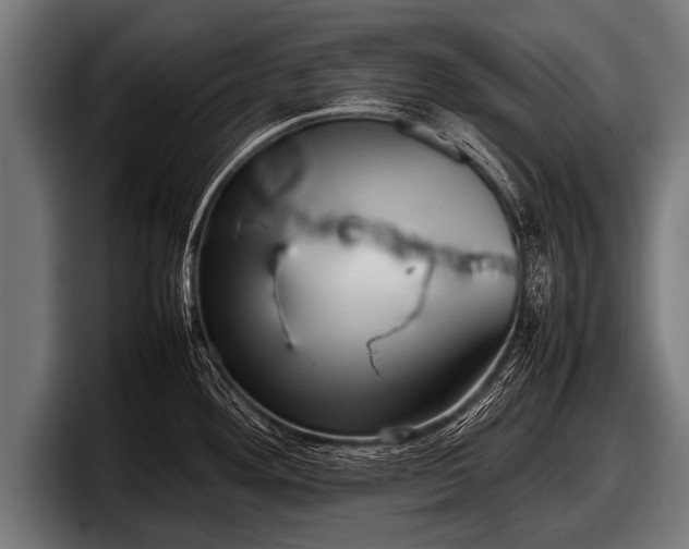 X0000097801292200803201349