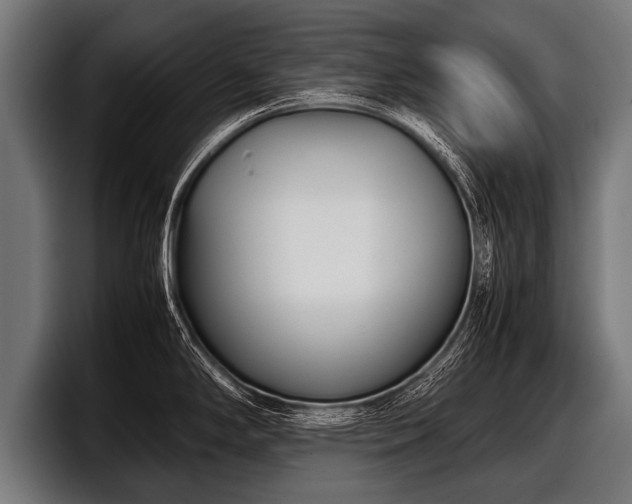 X0000097801294200803201349