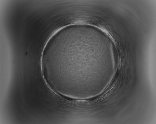 X0000097801295200803201349