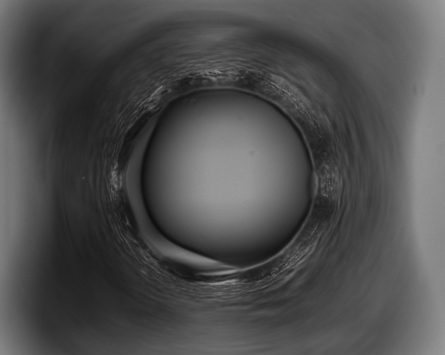 X0000097801298200803201349