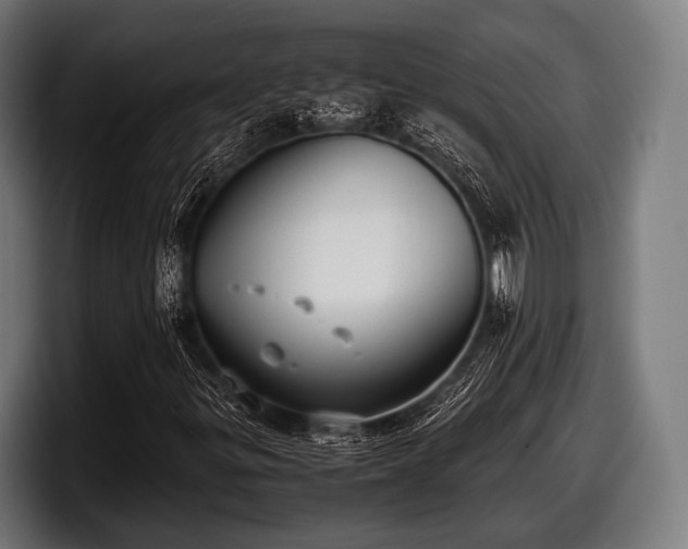 X0000097801299200803201349