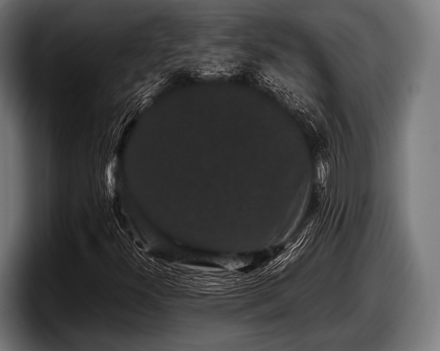 X0000097801300200803201349