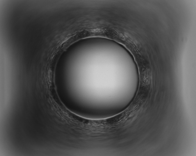 X0000097801301200803201349