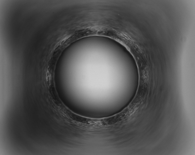 X0000097801302200803201349