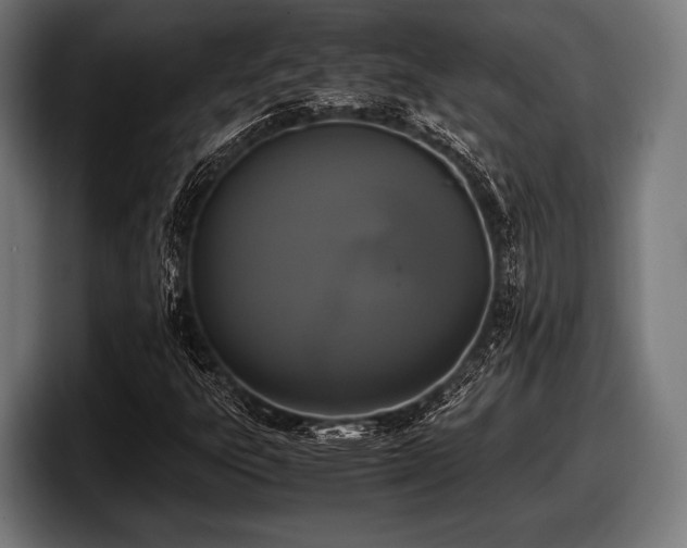 X0000097801303200803201349