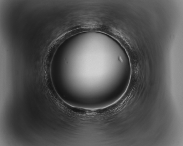 X0000097801304200803201349