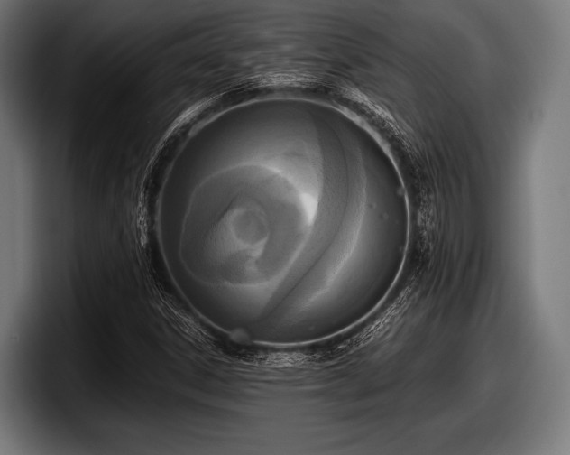 X0000097801306200803201349