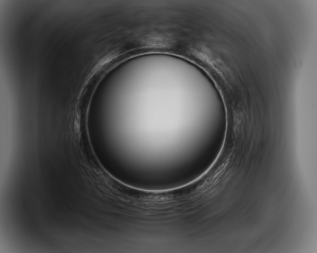 X0000097801307200803201349