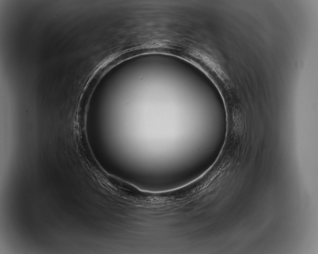 X0000097801308200803201349