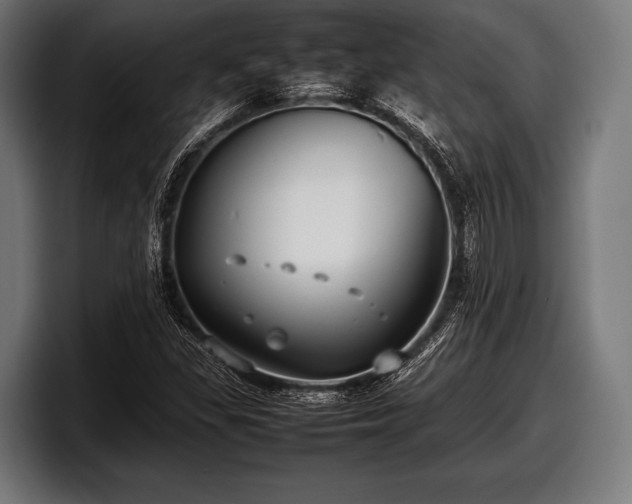 X0000097801309200803201349