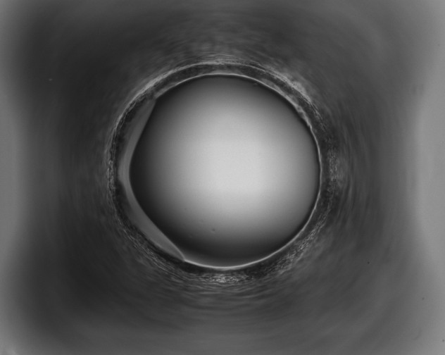 X0000097801311200803201349